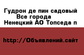 Гудрон де пин садовый - Все города  »    . Ненецкий АО,Топседа п.